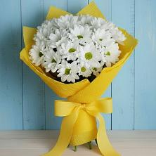 Букет цветов из:  Хризантемы в Гатчину