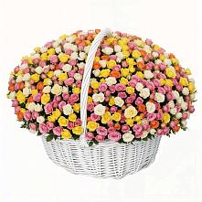 Премиум букет из: Розы в Гатчину