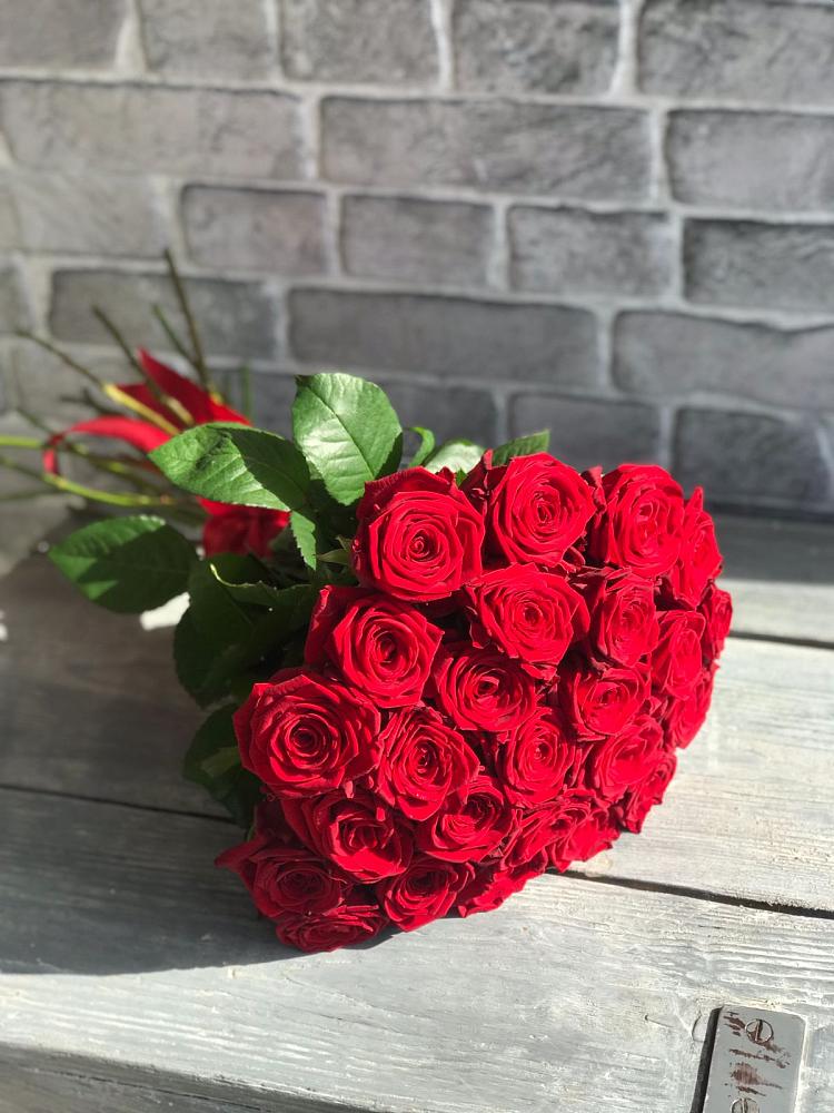 Букет Красные розы Фридом в Гатчину