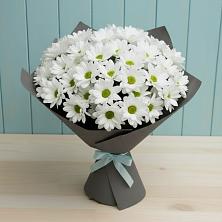 Букет цветов из:  Хризантемы в Гатчину
