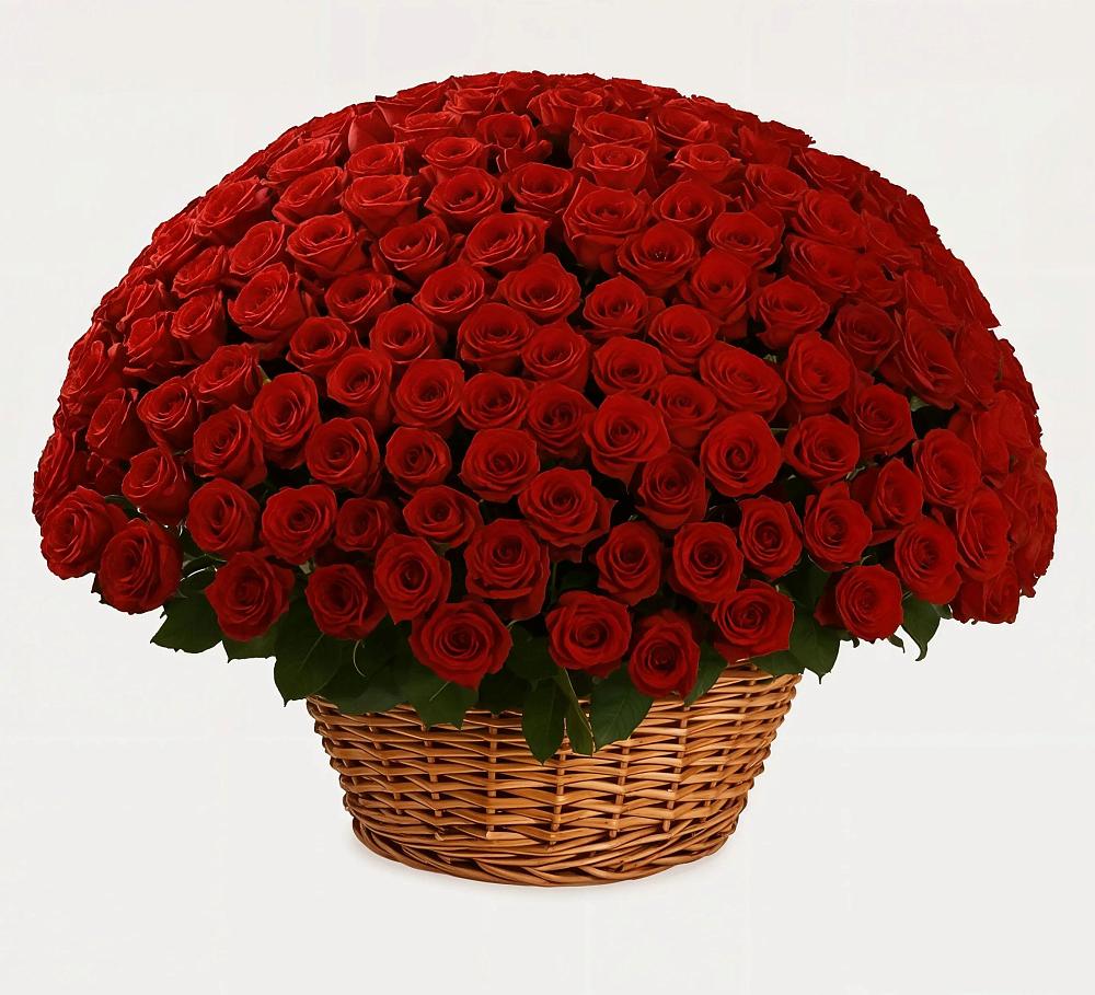 Премиум букет из: Розы в Гатчину