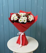 Букет цветов из:  Хризантемы в Гатчину