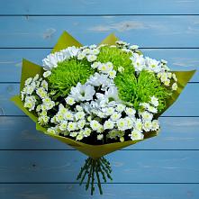 Букет цветов из:  Хризантемы #REPLACE_PRED# Гатчину