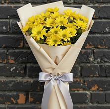 Букет цветов из:  Хризантемы в Гатчину