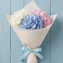 Букет цветов из:  Гортензия в Гатчину