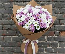 Букет цветов из:  Хризантемы в Гатчину