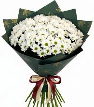 Букет цветов из:  Хризантемы в Гатчину