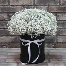 Цветочная композиция из Гипсофила в шляпной коробке в Гатчину