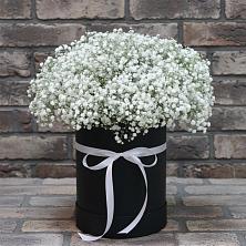 Цветочная композиция из Гипсофила в шляпной коробке в Гатчину
