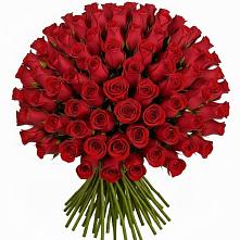 Букет Красные розы Чери Лав в Гатчину