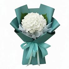 Букет цветов из:  Гортензия #REPLACE_PRED# Гатчину